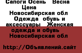 Сапоги Осень - Весна › Цена ­ 2 000 - Новосибирская обл. Одежда, обувь и аксессуары » Женская одежда и обувь   . Новосибирская обл.